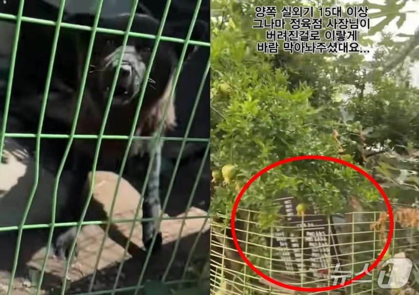 (유튜브 갈무리)