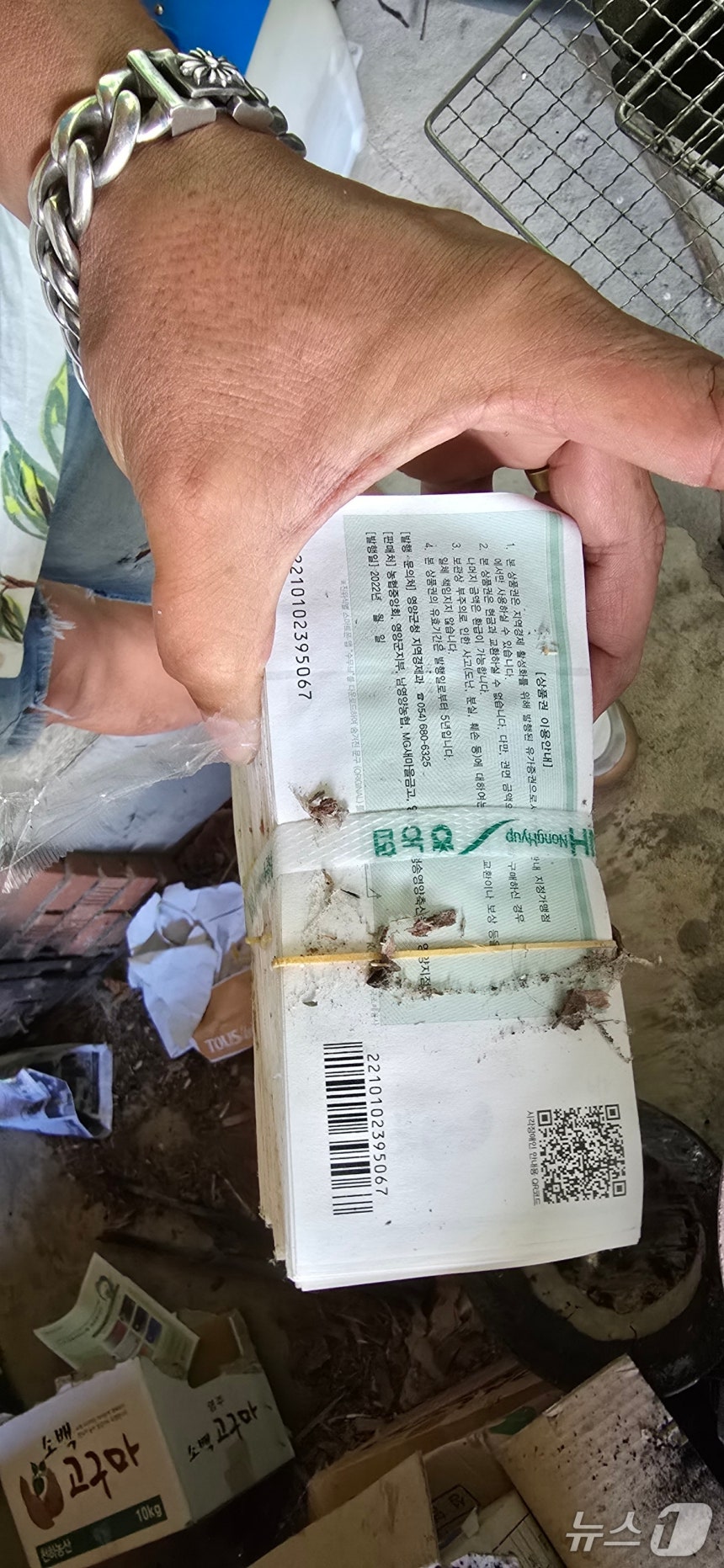 경북 영양군의 가정집 아궁이에서 무더기로 발견된 지역화폐(독자 제공, 재판매 및 DB 금지) 2025.7.25/뉴스1