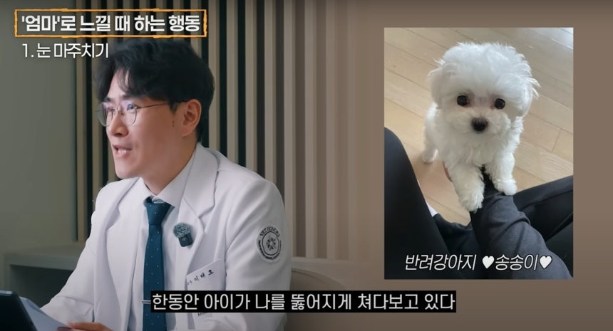 유튜브 채널 '이태호 수의사의 반려동물 진료소'는 반려견이 보호자를 ‘엄마’로 인식할 때 보이는 행동 8가지를 소개했다(유튜브 갈무리). ⓒ 뉴스1