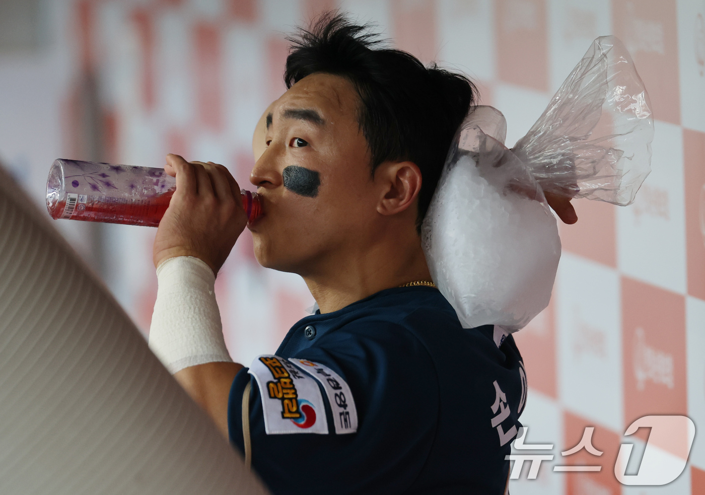 <b>한화</b>, 26년 만에 한국시리즈 우승 위해 <b>손아섭</b> <b>전격 영입</b>(종합)