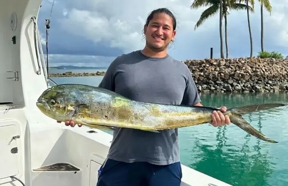 (에드윈 카스트로, 뉴욕포스트)