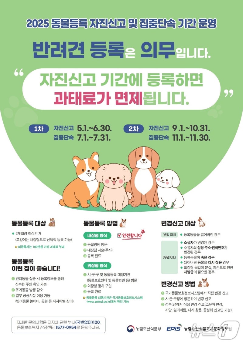 정읍시, '<b>반려동물 미등록</b>' <b>단속</b>…과태료 최대 60만원