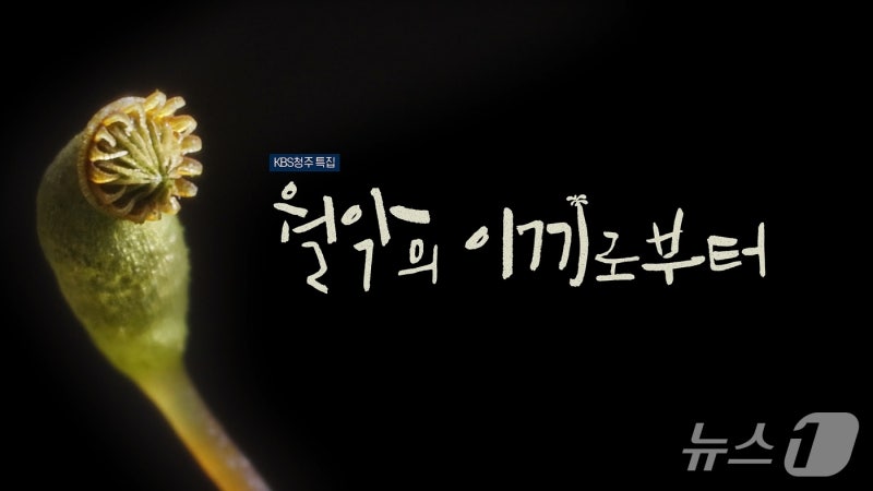 0008604506_001_20251114114222546.jpg?type=w800