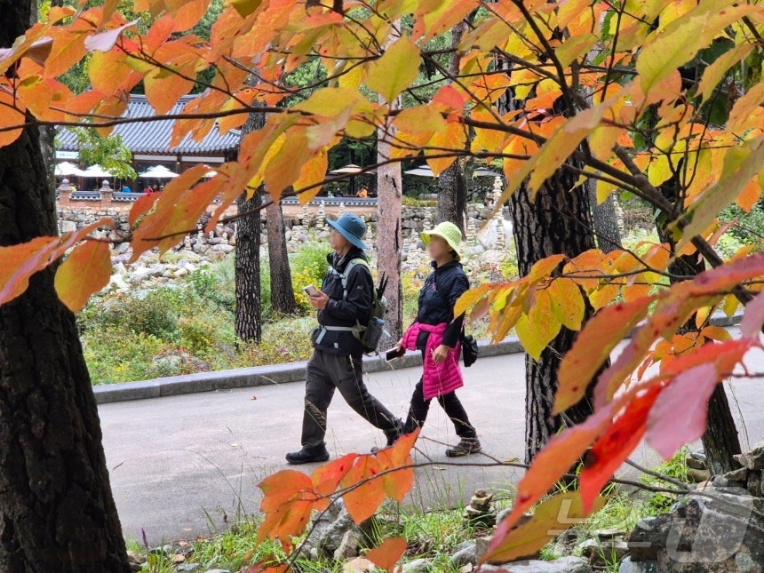 지난달 23일 강원 속초시 설악산국립공원 자료 사진, ⓒ News1 윤왕근 기자