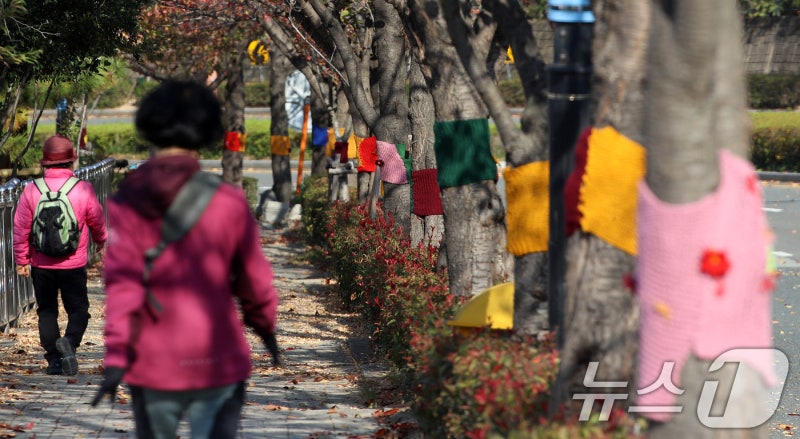 <b>뜨개옷 입은</b> 부산 <b>나무</b>들
