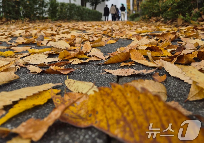 포근한 낮 기온…수도권·강원내륙엔 빗방울[오늘<b>날씨</b>]