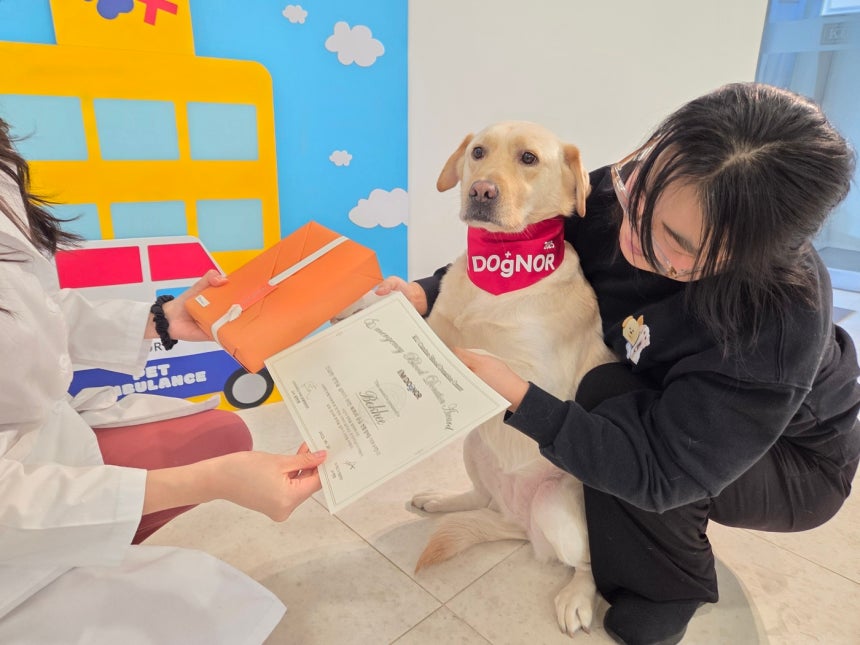 정기 헌혈 외에 응급헌혈로 특별 선물을 받는 복희 ⓒ 뉴스1 한송아 기자