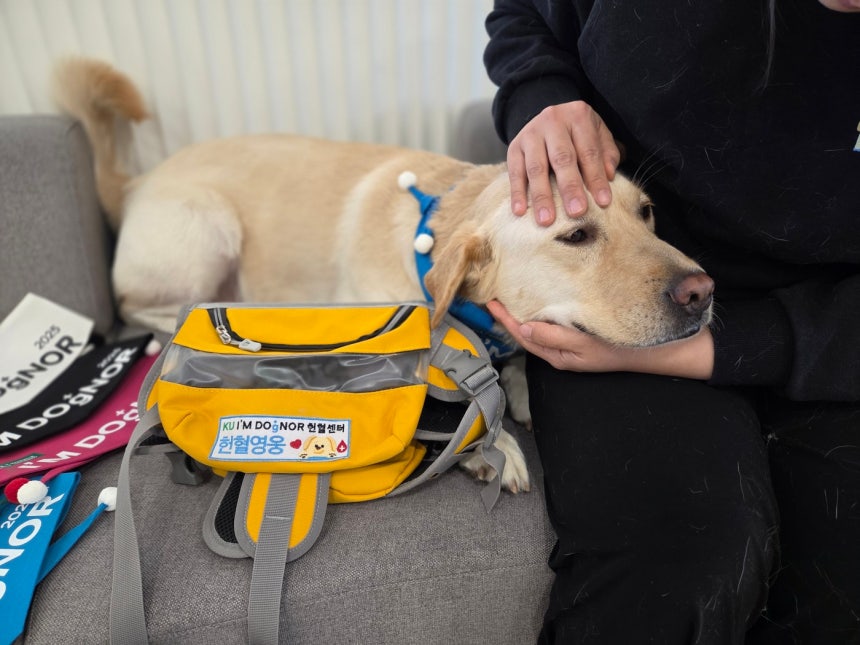 10회차 헌혈 때 받은 헌혈견 홍보 하네스.건국대학교 KU 아임도그너 헌혈센터에서는 헌혈 때마다 다양한 선물을 제공하고 있다.ⓒ 뉴스1 한송아 기자