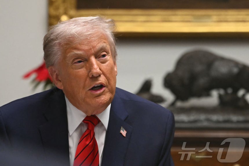 도널드 트럼프 미국 대통령이 10일(현지시간) 워싱턴DC 백악관에서 열린 기술 기업 최고경영자(CEO)들과의 라운드테이블 행사에서 100만 달러(약 14.7억 원)를 미국 정부에 내면 영주권을 받을 수 있는 '골드카