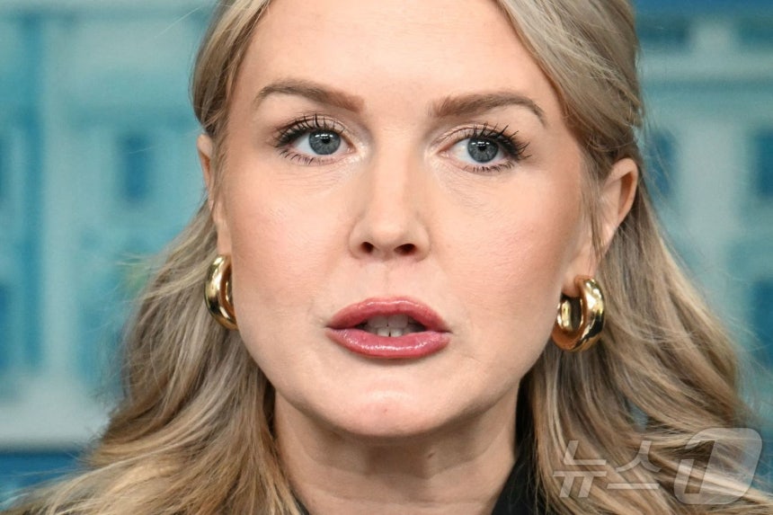 캐롤라인 레빗 백악관 대변인 ⓒ AFP=뉴스1 ⓒ News1 류정민 특파원