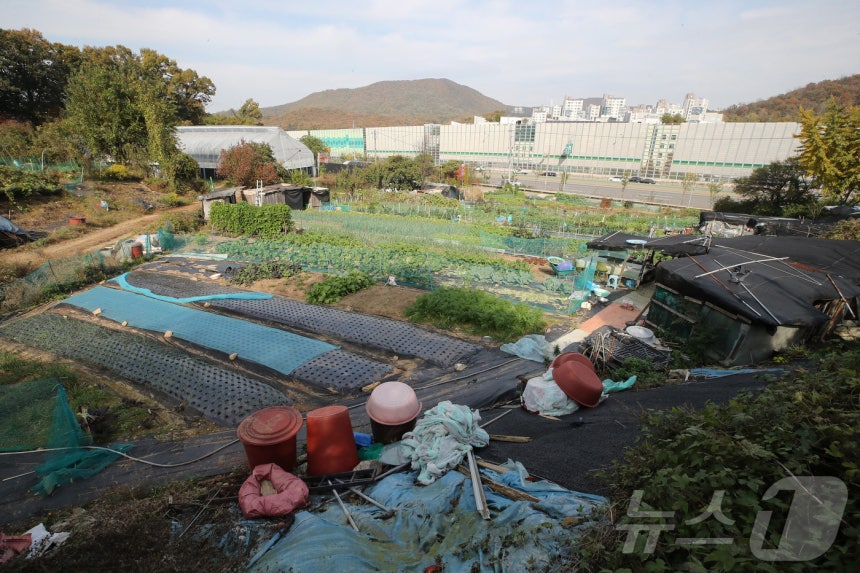 서울 서초구 원지동 모습.뉴스1 ⓒ News1 박세연 기자