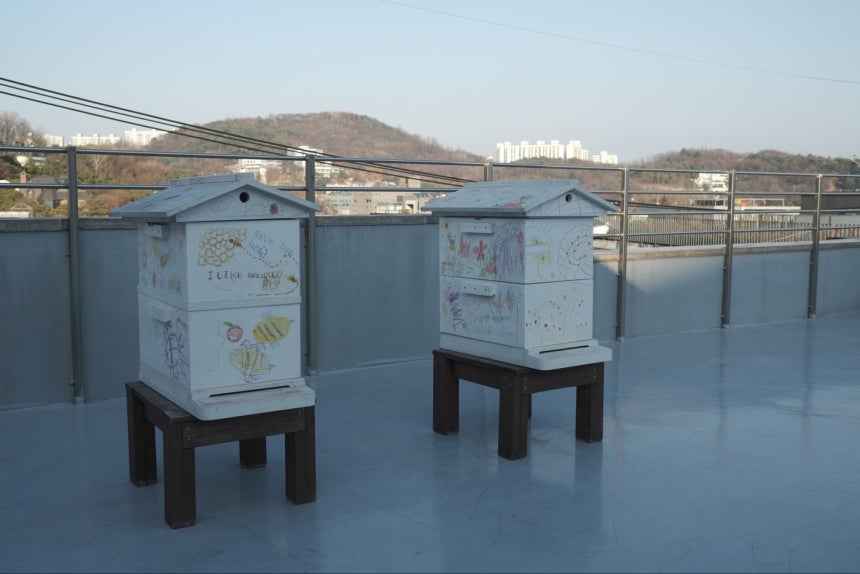 서울 용산구 한남동 주한 슬로베니아 대사관의 옥상에는 도시양봉 사회적기업 '어반비즈서울'과 협력해 설치한 벌통이 있다.2025.12.11/뉴스1 ⓒ News1 이정환 기자