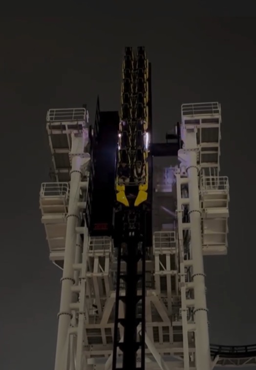 (출처=소셜미디어 엑스(X))