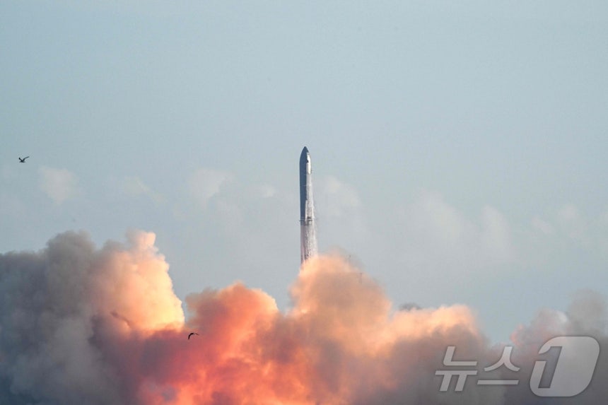 스페이스X의 대형 우주선 '스타십'이 26일(현지시간) 10번째 지구궤도 시험 비행을 성공적으로 마쳤다고 AFP 통신이 보도했다.ⓒ AFP=뉴스1 ⓒ News1 김경민 기자