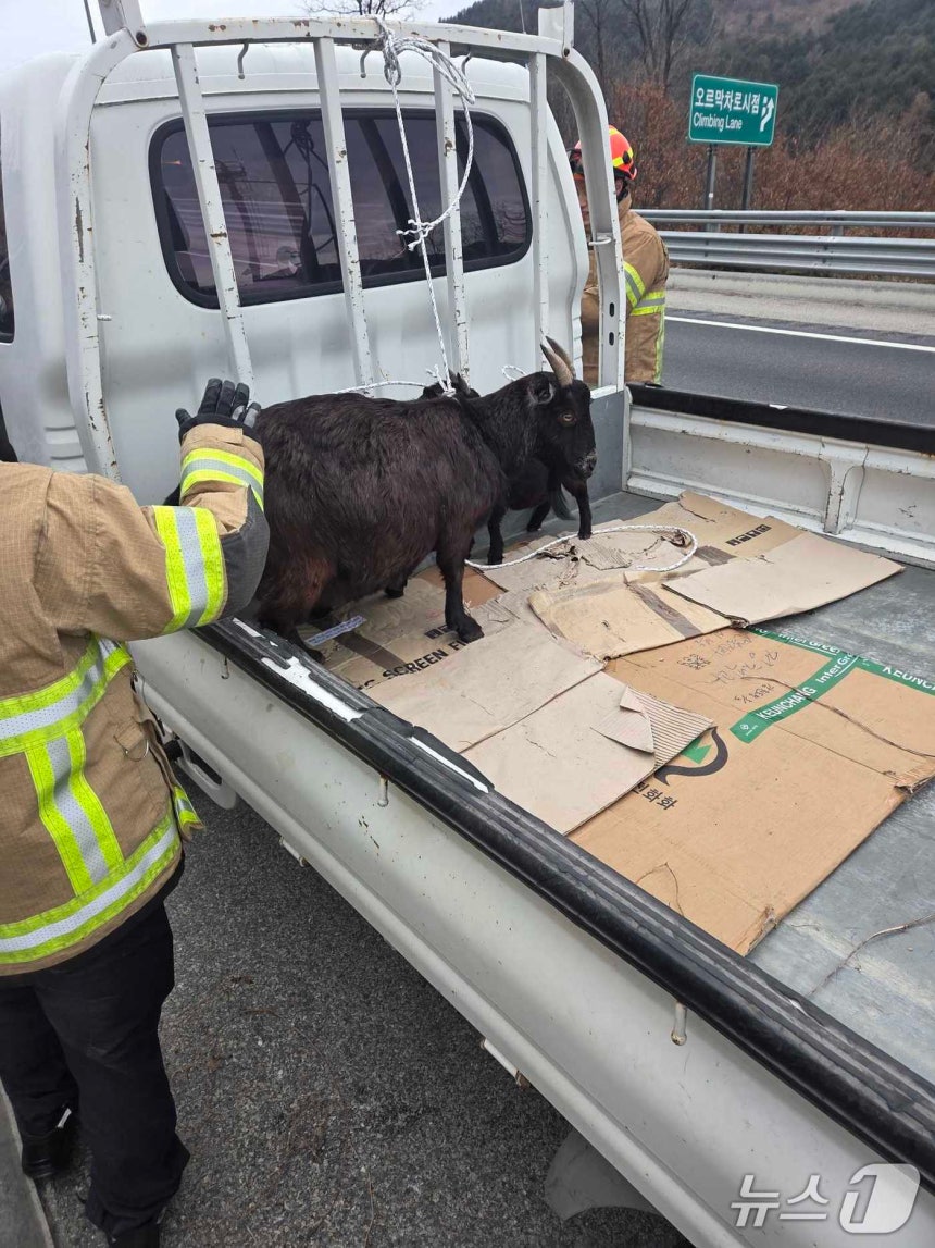 코인 망한 후기 에서의 위험 요소와 예방 전략 (2025년 최신판)