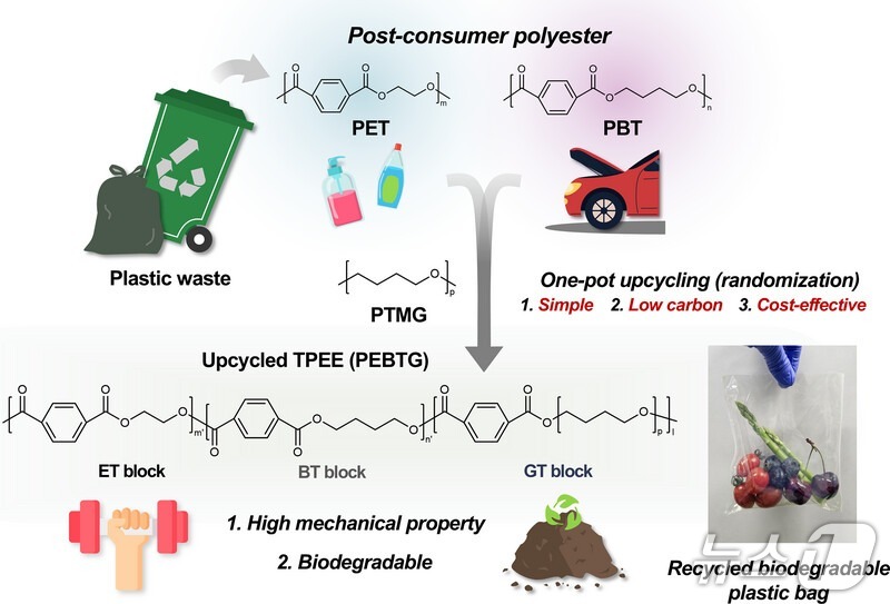 업사이클링 전략을 통한 생분해성 고성능 플라스틱 개발. (서강대 제공)