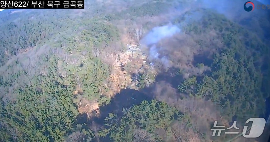 26일 부산 북구 금곡동 산불 화재 현장.(산림청 제공.재판매 및 DB 금지)
