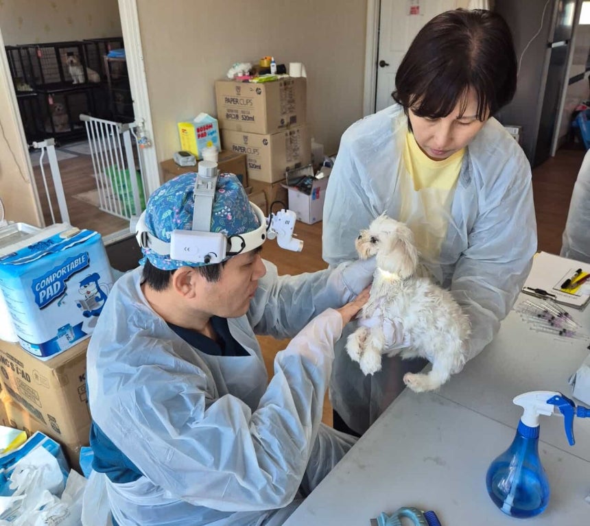 마지막 5차 검사 당시 모습(유행사 제공) ⓒ 뉴스1