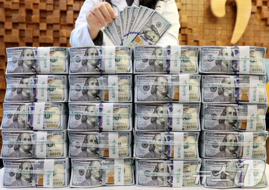 서울 중구 하나은행 위변조대응센터에서 은행 관계자가 달러화를 정리하는 모습.2025.12.3/뉴스1 ⓒ News1 이호윤 기자