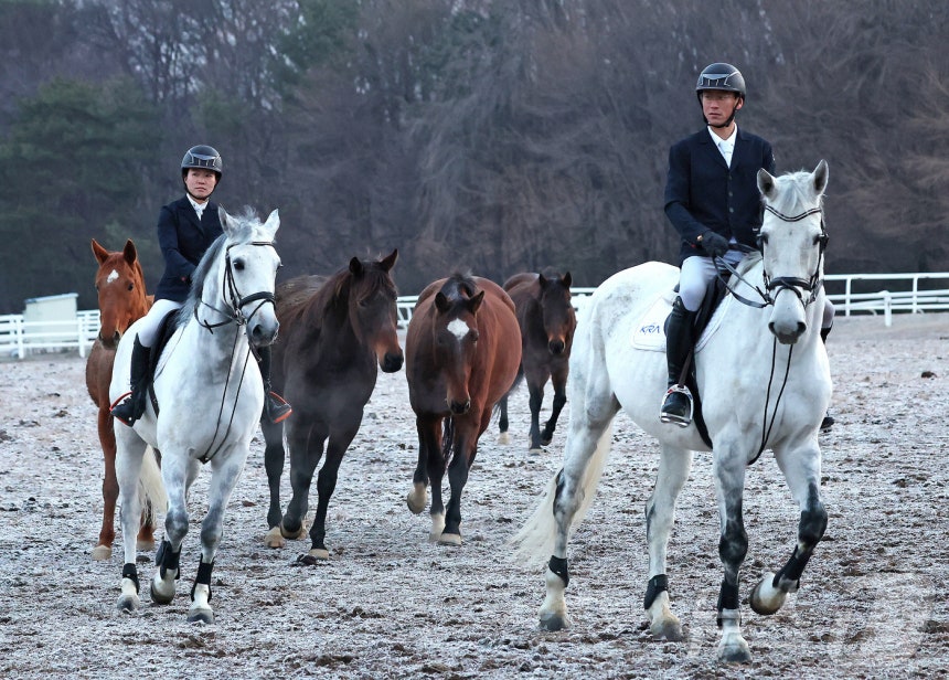 2026년 희망찬 병오년(丙午年) 붉은 말의 해가 다가왔다.지난 10일 경기 고양시 원당종마목장에서 한국마사회 승마단 류시원,방시레 선수가 말과 함께 목장을 돌고 있다.2025.12.31/뉴스1 ⓒ News1 