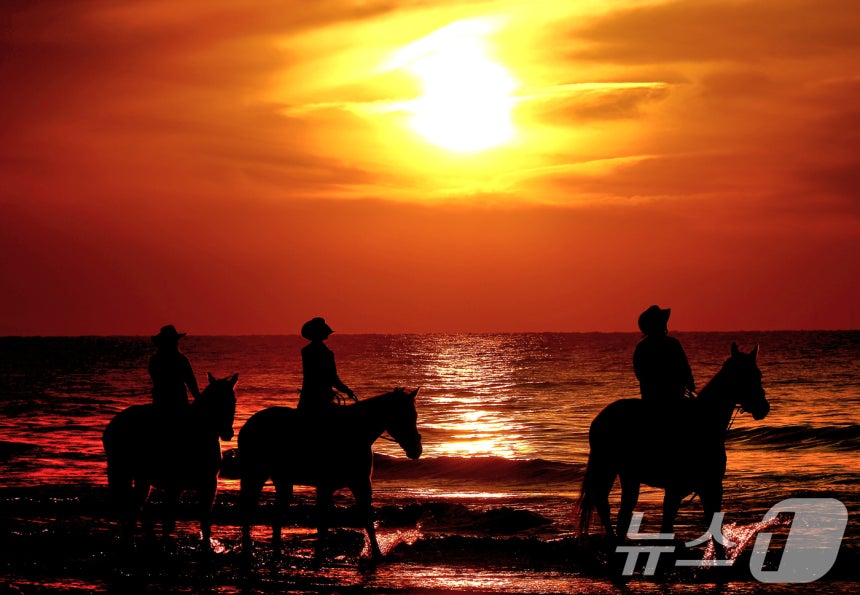 '붉은 말의 해' 병오년(丙午年)을 앞두고 전북 고창 명사십리 해변에서 휘게팜 승마클럽 직원들이 붉게 물든 해안가를 따라 말을 타고 있다.2025.12.31/뉴스1 ⓒ News1 유경석 기자