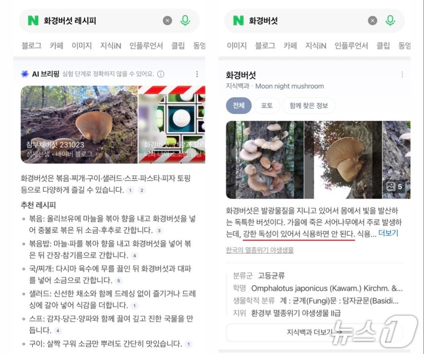 (네이버 AI 브리핑 갈무리)