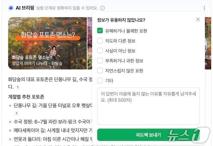 네이버 AI 브리핑 피드백 기능 (네이버 AI 브리핑 갈무리)