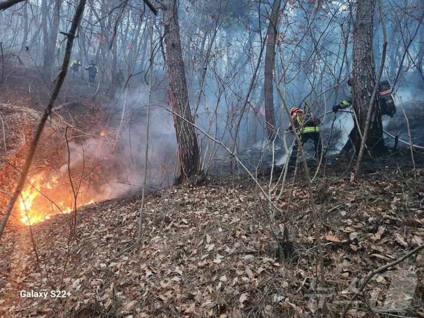 10일 오후 3시 14분쯤 경북 의성군 의성읍 비봉리의 한 야산에서 대형 산불이 발생해 소방 당국이 대응 2단계를 발령하고 진화에 나서고 있다. (경북소방안전본부 제공. 재판매 및