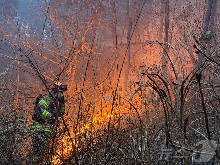 10일 오후 3시 14분쯤 경북 의성군 의성읍 비봉리의 한 야산에서 대형 산불이 발생해 소방 당국이 대응2단계를 발령하고 진화에 나서고 있다.(경북소방안전본부 제공.재판매 및 DB 금지) 2026.1.10/뉴스1