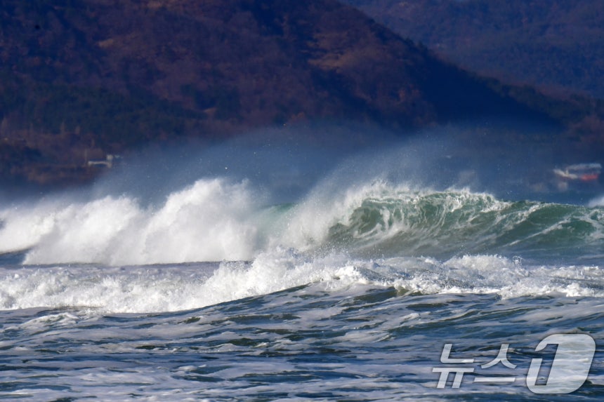 11일 깅풍주의보가 발령된 경북 포항시 북구 흥해읍 용한리 앞 바다에서 높은 파도가 밀려들고 있다. 2026.1.11/뉴스1 ⓒ News1 최창호 기자
