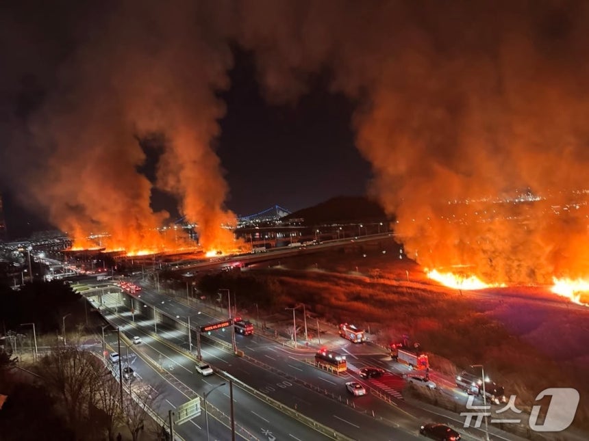 지난 24일 울산 북구 명촌교 일대 억새밭에 동시다발적인 화재가 발생한 모습.(독자 제공.재판매 및 DB금지)/뉴스1