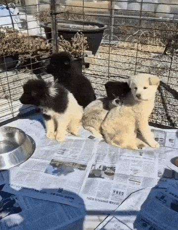 어린 시절 보호소에 입소한 솔유의 모습(맨 오른쪽,<a href=