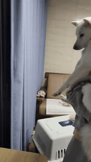 똑똑하고 해맑은 솔유가 가족을 기다리고 있다(인스타그램 daybreak1997 제공) ⓒ 뉴스1