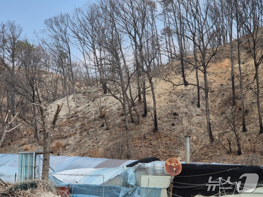 지난 17일 울산 울주군 언양읍 양달마을의 뒷산에 산불의 흔적이 남아있다.2026.3.20ⓒ 뉴스1 박정현 기자