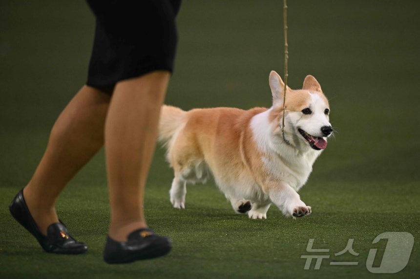 <자료사진> ⓒ AFP=뉴스1