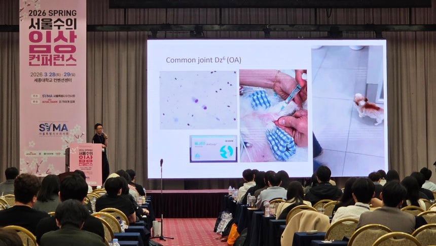 정창수 정창수외과동물병원 원장이 2026 춘계 서울수의임상컨퍼런스에서 반려견 전지파행을 주제로 강의하며 관절주사 '애니콘주'에 대해 소개하고 있다. ⓒ 뉴스1 한송아 기자