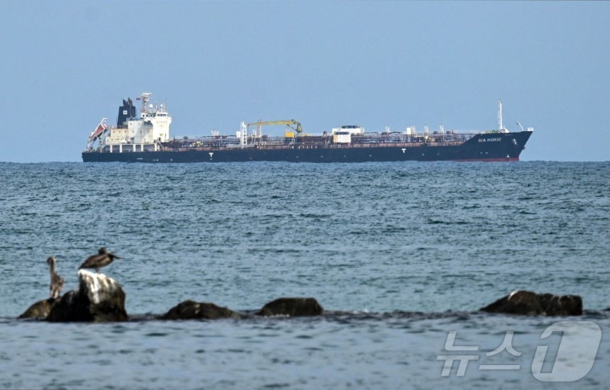 29일(현지시간) 베네수엘라 푸에르토카베요 앞바다에 홍콩 국적의 원유 운반선 ‘시 호스’가 정박해 있다. 이 선박은 러시아산 디젤유를 쿠바로 운송 중이던 것으로 알려졌으며, 이번 주 초 항로를 변경해 베네수엘라로 향
