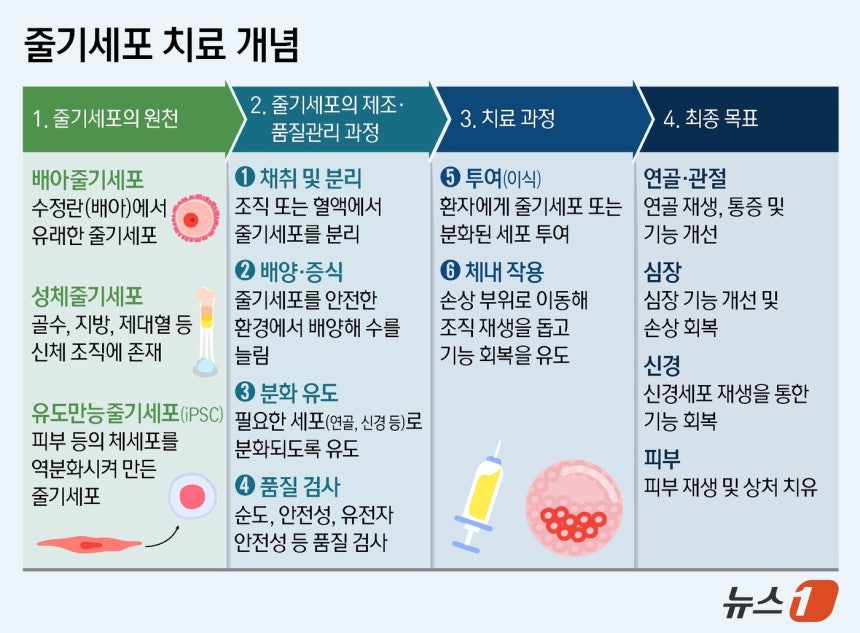 ⓒ 뉴스1 양혜림 디자이너
