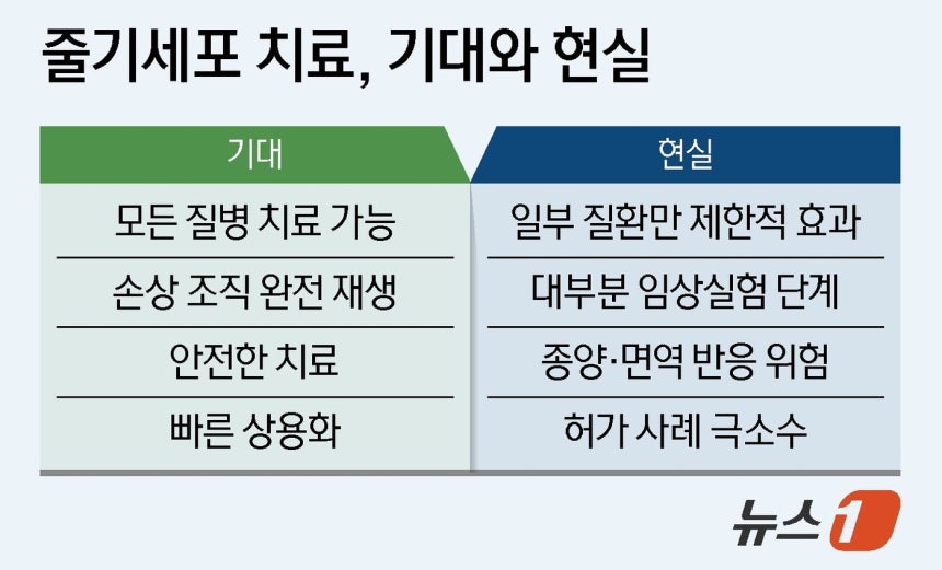 ⓒ 뉴스1 양혜림 디자이너