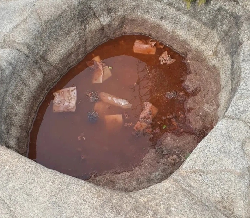 온라인 커뮤니티