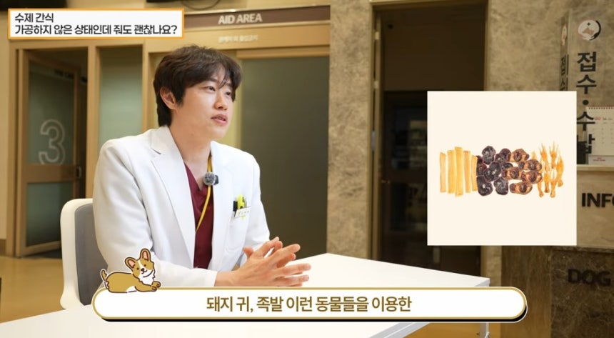 김예원 더케어동물의료센터 원장이 유튜브를 통해 반려견 간식 선택법을 소개했다(더케어동물의료센터 유튜브 갈무리).ⓒ 뉴스1