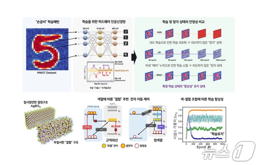 A brain-mimicking photonic synapse that adjusts 'memorization' and 'forgetting' with light colors. (Provided by Professor Cho Sae-byeok of Sungkyunkwan University. Resale and DB prohibited)June 10, 2026/News1