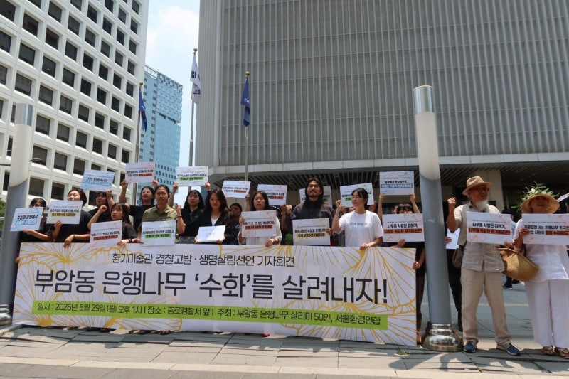 부암동 주민들, '100년 은행나무 독살' <b>환기미술관</b>장 고발