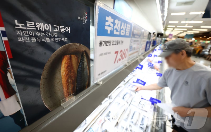 "고등어 2000t 잡아라"...정부, 노르웨이에 고등어 특사단 파견