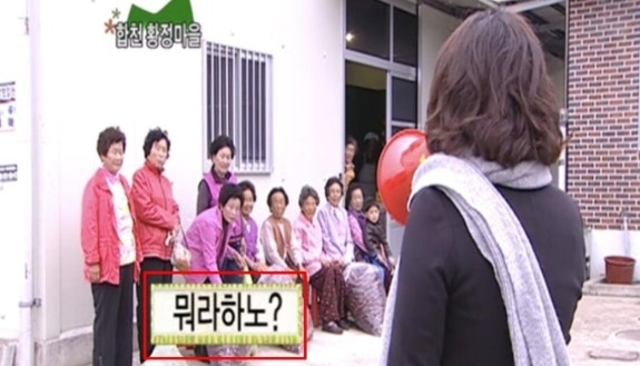 "87세 우리 할머니가 일베를 알겠냐"…<b>김현지 PD</b> '무섭노' 거센 역풍