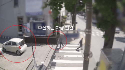후진 차량에 다가가 '쿵' 횡단보도에 자빠진 취객…경찰도 속았다[영상]
