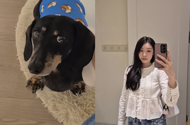 <b>김연아</b>, 발로 강아지 '쓰담쓰담'…"발 씻었어" 폭소