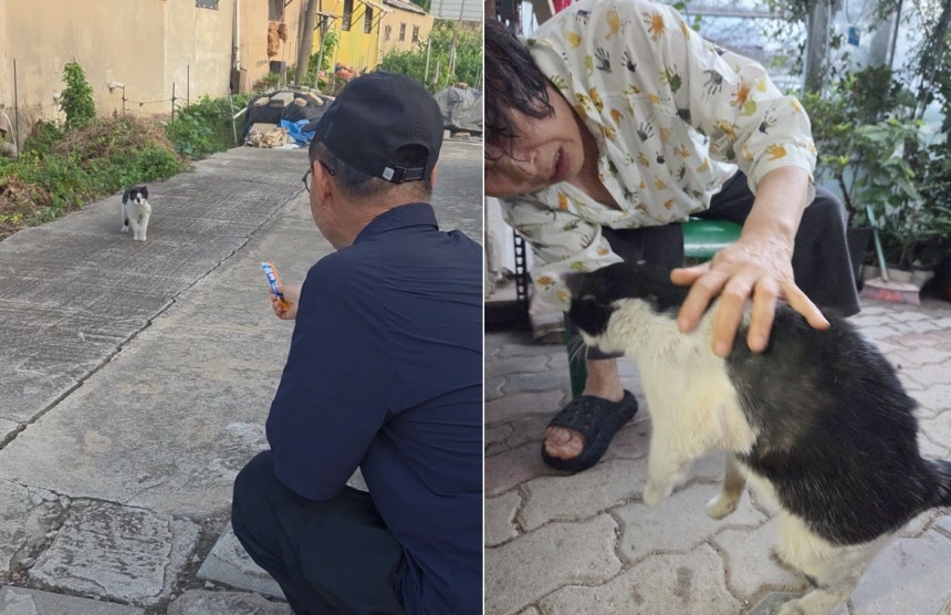 잃어버린 고양이를 22일 만에 21㎞ 떨어진 곳에서 찾아 재회한 사연이 공개돼 누리꾼들의 마음을 울리고 있다(인스타그램 nero_somang 제공). ⓒ 뉴스1