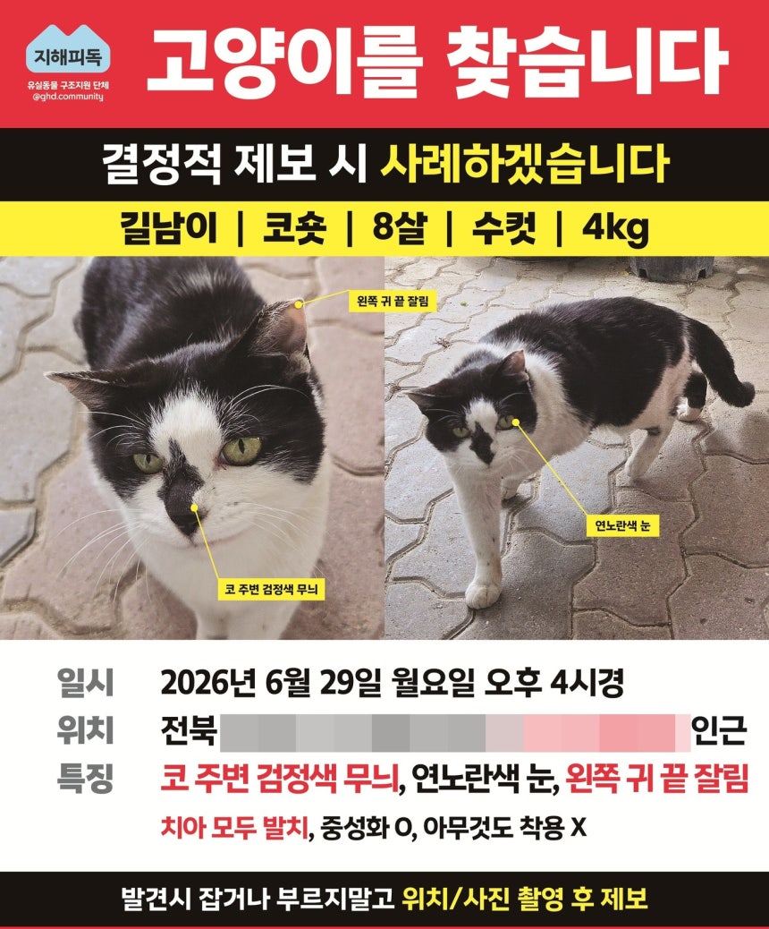 길남이 실종 전단지(지해피독 제공) ⓒ 뉴스1