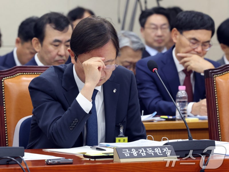 <b>이찬진 금감원장</b> '고심'